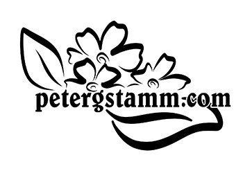 Peter G Stamm